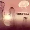 Verdena 6/03/2015 Live@Barbara DiscoLab,Catania - EndKadenz Tour