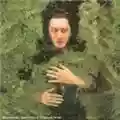 Alain Bashung Fantaisie militaire