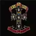 Guns N' Roses Appetite for Destruction