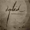 Orplid Nächtliche Jünger