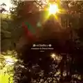 Orthodox Amanecer En Puerta Oscura