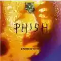 Phish A Picture Of Nectar