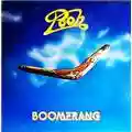 Pooh Boomerang