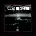 Radio Birdman Zeno Beach