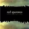 Red Sparowes The Fear Is Excruciating, But Therein Lies The Answer