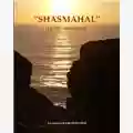 Vito Franchini Shasmahal - La città meravigliosa