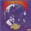 The Solarflares Laughing Suns