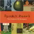 Spock's Beard The Kindness Of Strangers