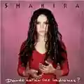 Shakira Donde Estàn Los Ladrones?