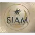 Savage Republic SIAM