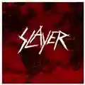 Slayer World Painted Blood