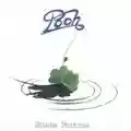 Pooh Buona Fortuna