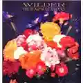 The Teardrop Explodes Wilder