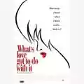 Brian Gibson Tina: What's Love Got To Do With It?