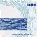 Tortoise Millions Now Living Will Never Die