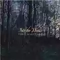 Tony Wakeford Into The Woods