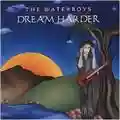The Waterboys Dream Harder