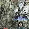 Al Stewart Zero She Flies