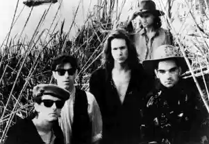 Hothouse Flowers