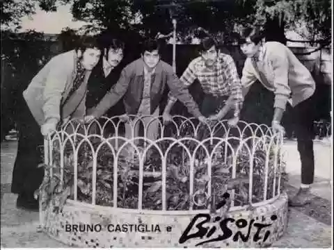 I bisonti