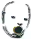 Illogo
