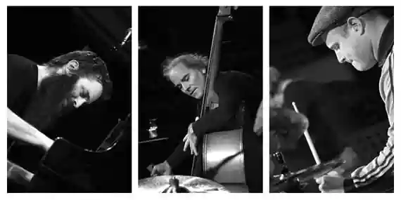 Jamie Saft Trio