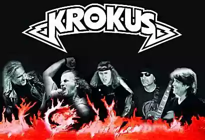 Krokus