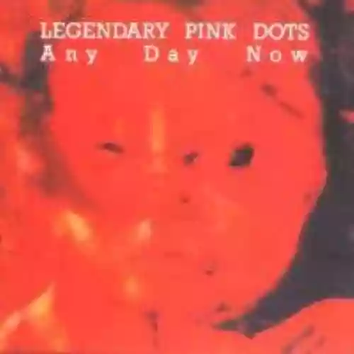 The Legendary Pink Dots