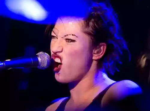 Amanda Palmer