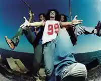 Macaco