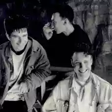 Martin Stephenson and The Daintees