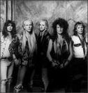 McAuley-Schenker Group
