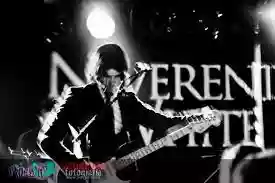 Neverending White Lights