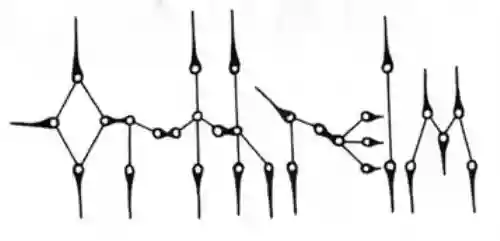 Orthrelm
