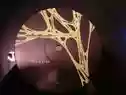 Pollon