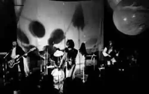 Arachnoid