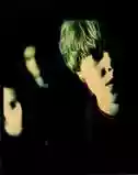 Revolver
