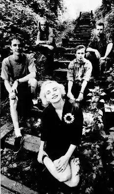 Arson Garden