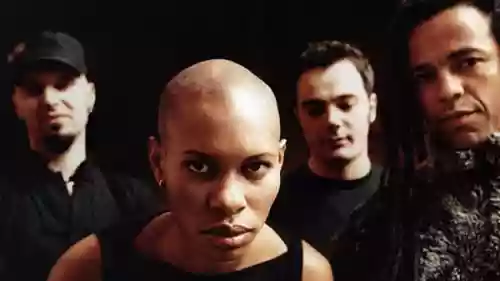 Skunk Anansie