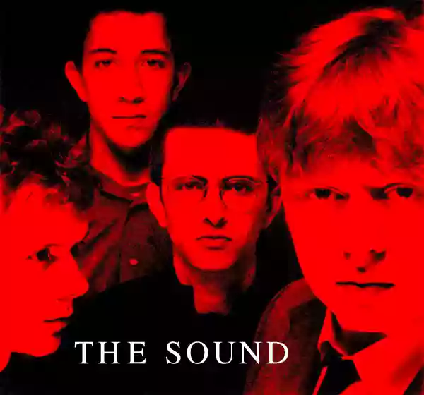 The Sounds