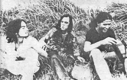 Speed, Glue & Shinki