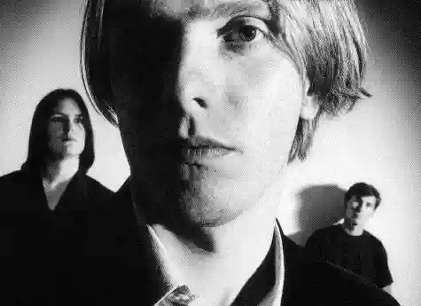 The Auteurs