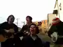 The Dogs