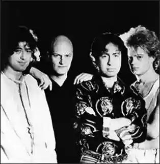 The Firm