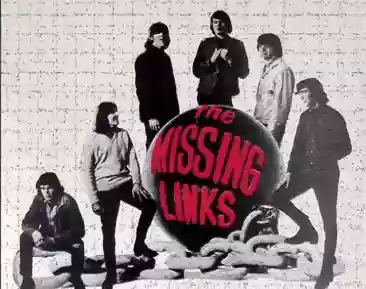 The Missing Links