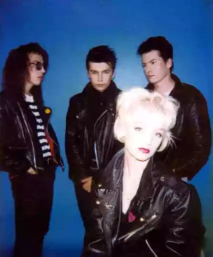 The Primitives