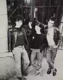 The Rats