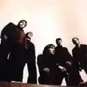 The Shining