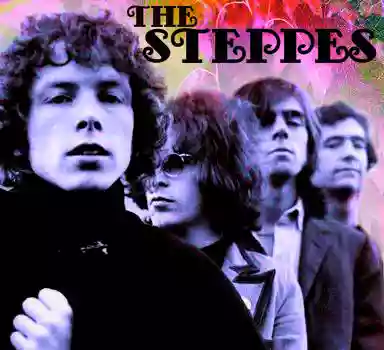 The Steppes