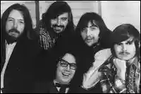 The Turtles